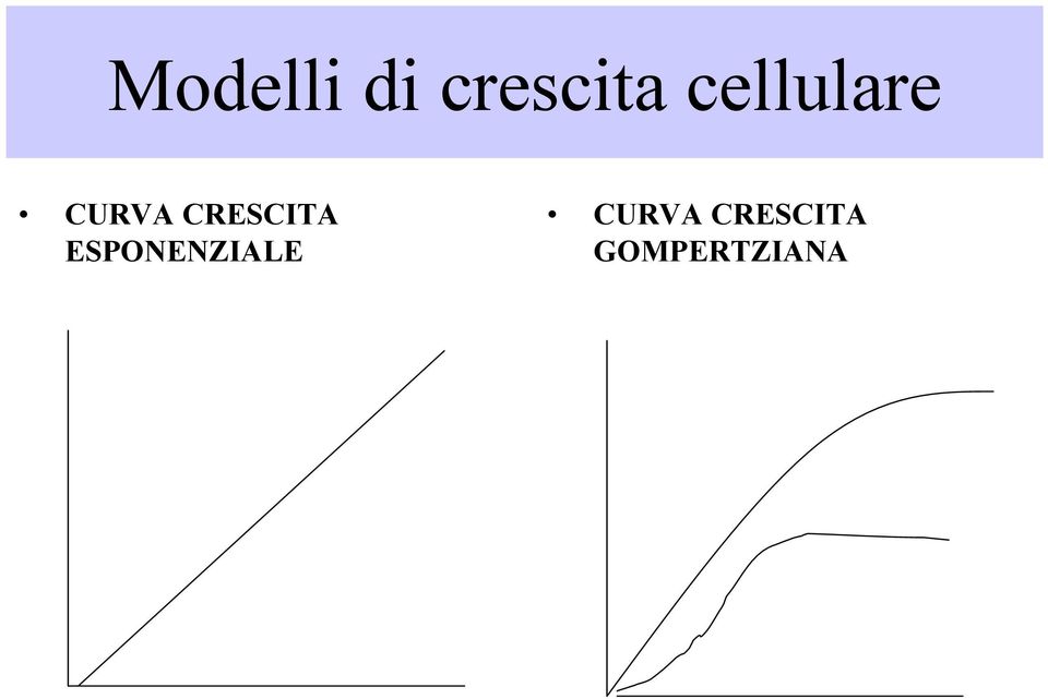 CRESCITA ESPONENZIALE