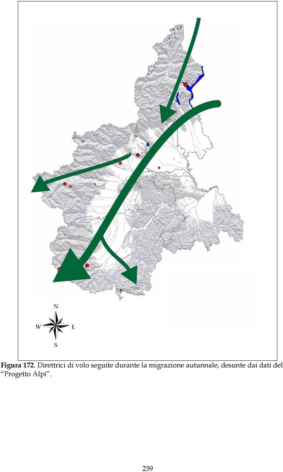 durante la migrazione