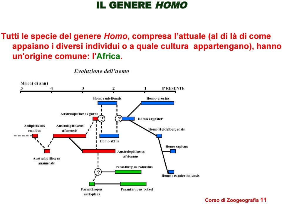 diversi individui o a quale cultura appartengano),