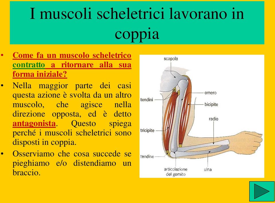 Nella maggior parte dei casi questa azione è svolta da un altro muscolo, che agisce nella