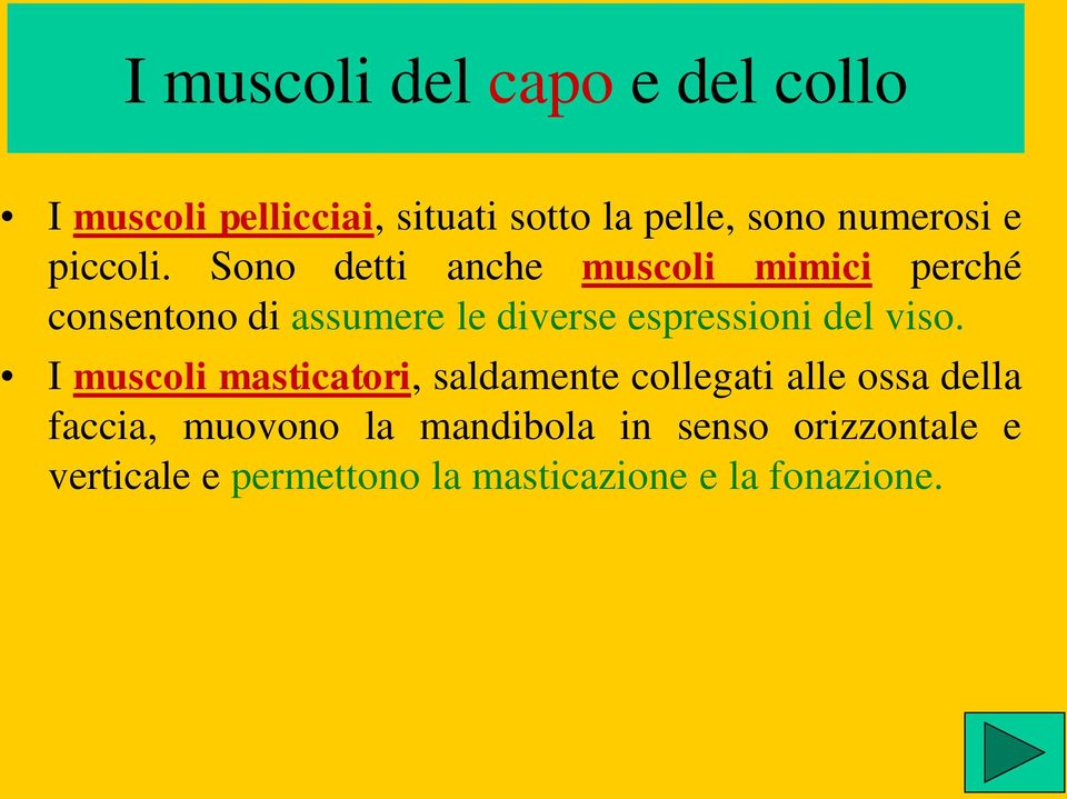 Sono detti anche muscoli mimici perché consentono di assumere le diverse espressioni del