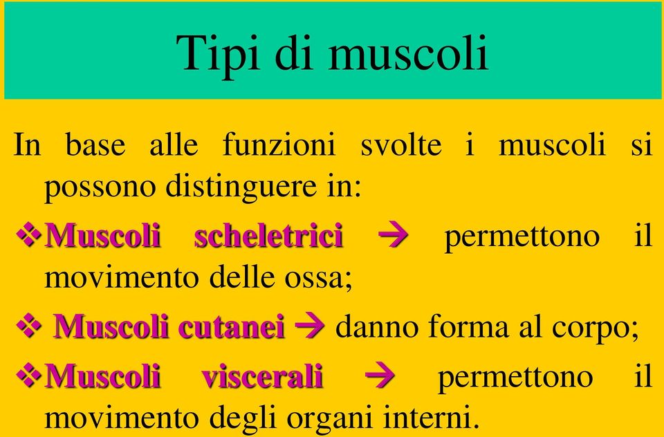 movimento delle ossa; Muscoli cutanei danno forma al corpo;