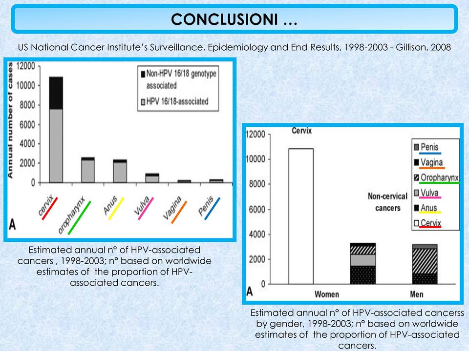 CONCLUSIONI US National Cancer Institute s Surveillance, Epidemiology and End Results, 1998-2003