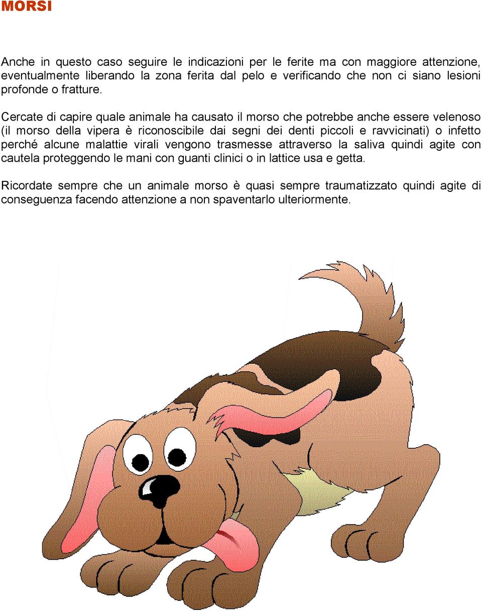 Cercate di capire quale animale ha causato il morso che potrebbe anche essere velenoso (il morso della vipera è riconoscibile dai segni dei denti piccoli e ravvicinati) o