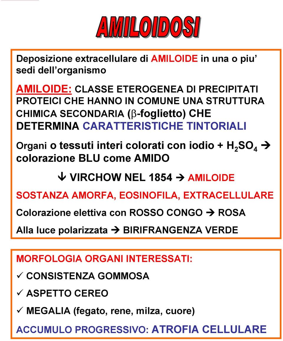 BLU come AMIDO VIRCHOW NEL 1854 AMILOIDE SOSTANZA AMORFA, EOSINOFILA, EXTRACELLULARE Colorazione elettiva con ROSSO CONGO ROSA Alla luce polarizzata