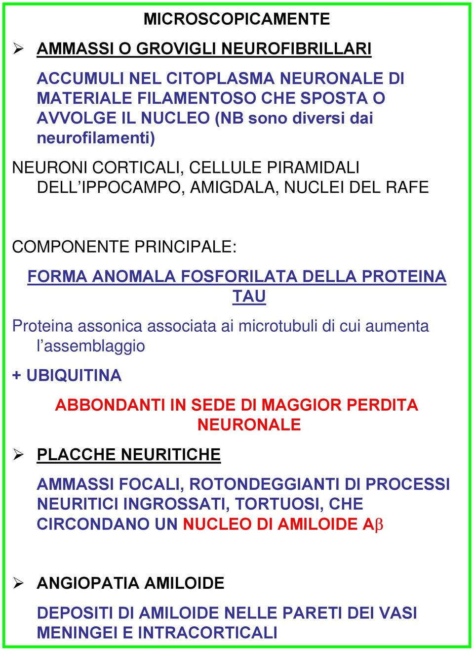 Proteina assonica associata ai microtubuli di cui aumenta l assemblaggio + UBIQUITINA ABBONDANTI IN SEDE DI MAGGIOR PERDITA NEURONALE PLACCHE NEURITICHE AMMASSI FOCALI,