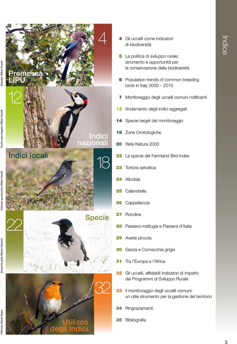 indici aggregati 14 Specie target del monitoraggio 18 Zone Ornitologiche 20 Rete Natura 2000 Indici locali 18 22 Le specie del Farmland Bird Index 23 Tortora selvatica Codirosso spazzacamino, William