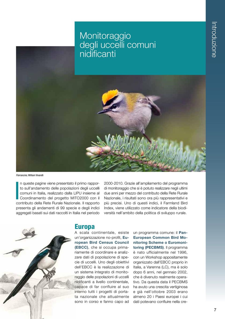 Il rapporto presenta gli andamenti di 99 specie e degli indici aggregati basati sui dati raccolti in Italia nel periodo 20002010.