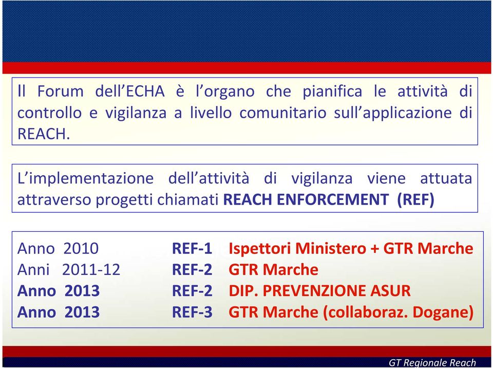 L implementazione dell attività di vigilanza viene attuata attraverso progetti chiamati REACH