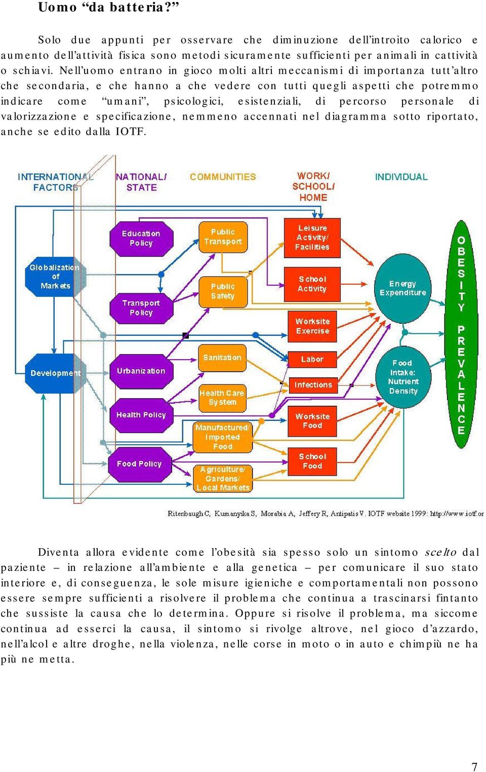 esistenziali, di percorso personale di valorizzazione e specificazione, nemmeno accennati nel diagramma sotto riportato, anche se edito dalla IOTF.