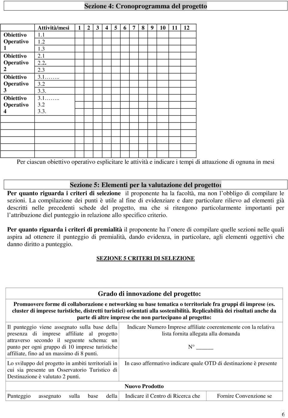 2 3.3. Per ciascun obiettivo operativo esplicitare le attività e indicare i tempi di attuazione di ognuna in mesi Sezione 5: Elementi per la valutazione del progetto1 Per quanto riguarda i criteri di