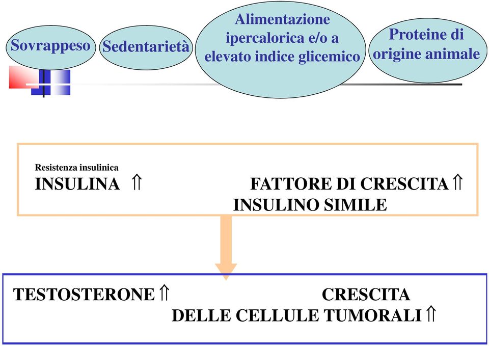 Resistenza insulinica INSULINA FATTORE DI CRESCITA