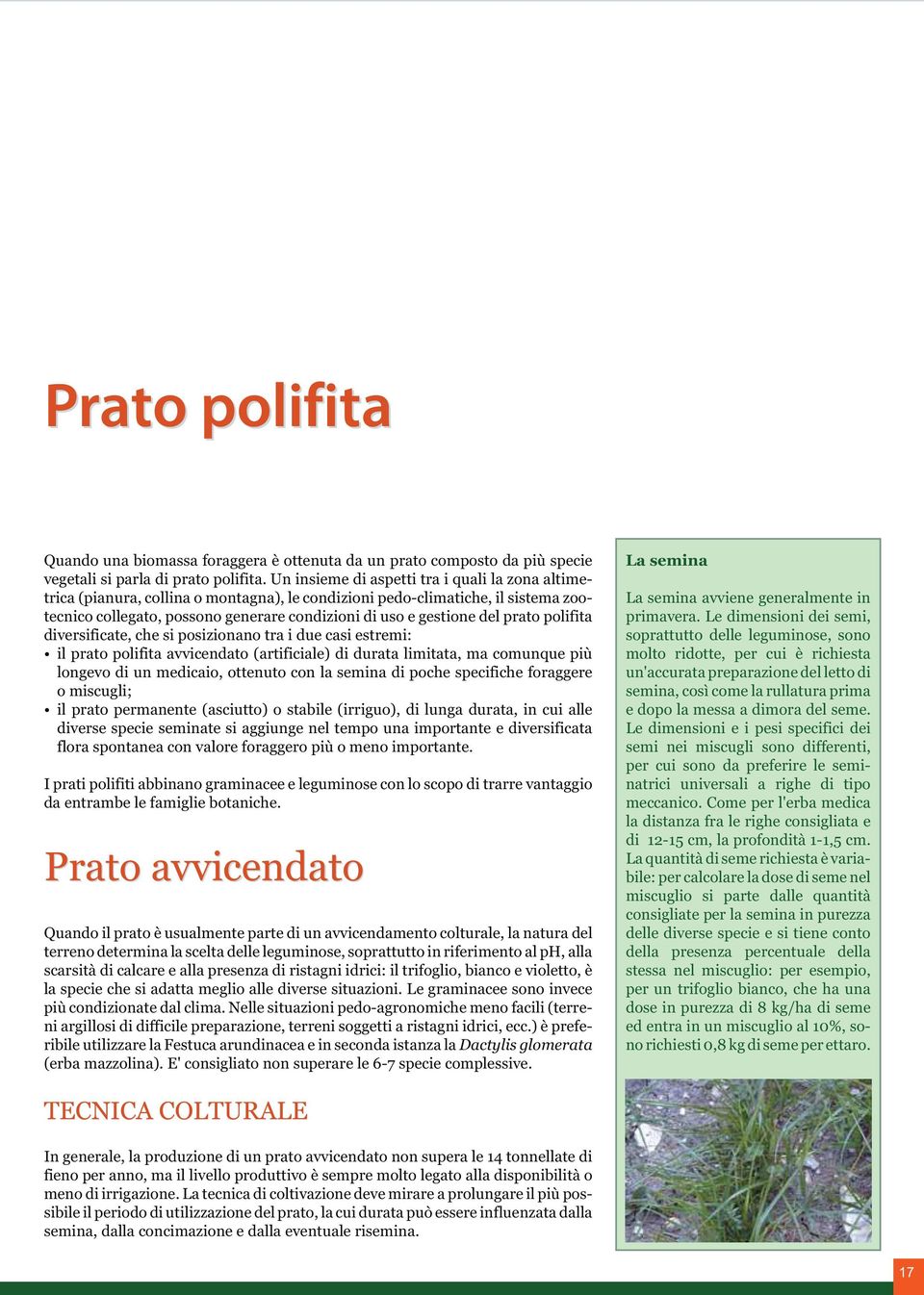 prato polifita diversificate, che si posizionano tra i due casi estremi: il prato polifita avvicendato (artificiale) di durata limitata, ma comunque più longevo di un medicaio, ottenuto con la semina