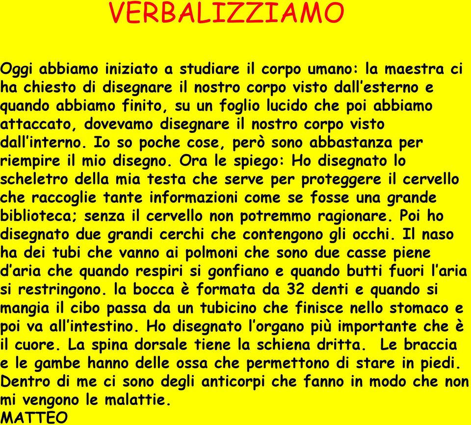 Ora le spiego: Ho disegnato lo scheletro della mia testa che serve per proteggere il cervello che raccoglie tante informazioni come se fosse una grande biblioteca; senza il cervello non potremmo