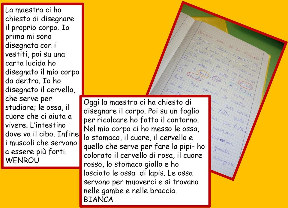 WENROU Oggi la maestra ci ha chiesto di disegnare il corpo. Poi su un foglio per ricalcare ho fatto il contorno.