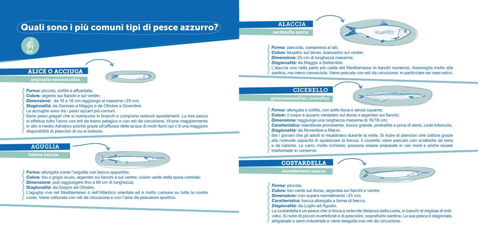 a Maggio e da Ottobre a Dicembre. Le acciughe sono tra i pesci azzurri più comuni. Sono pesci gregari che si riuniscono in branchi e compiono notevoli spostamenti.