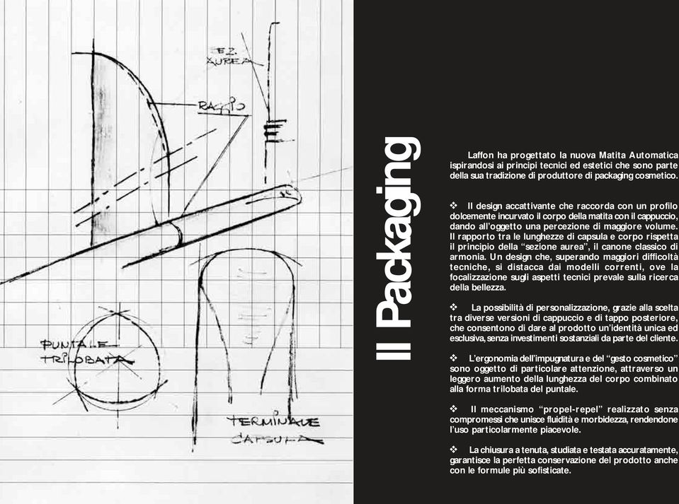 Il rapporto tra le lunghezze di capsula e corpo rispetta il principio della sezione aurea, il canone classico di armonia.