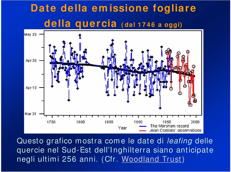 leafing delle quercie nel Sud-Est dell Inghilterra