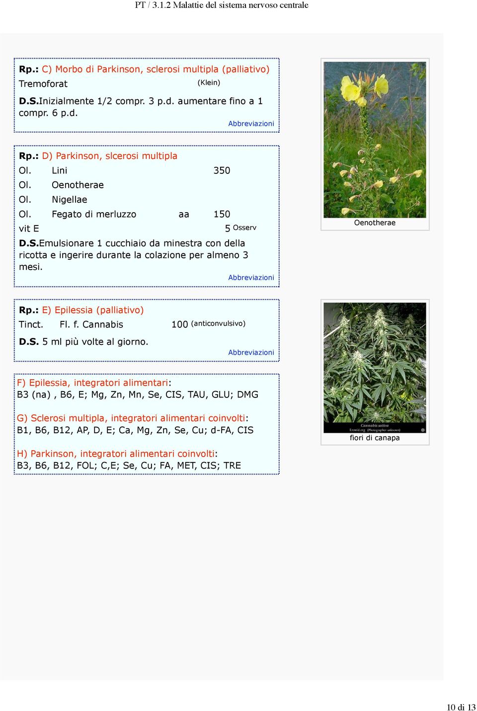 Abbreviazioni Oenotherae Rp.: E) Epilessia (palliativo) Tinct. Fl. f. Cannabis 100 (anticonvulsivo) D.S. 5 ml più volte al giorno.
