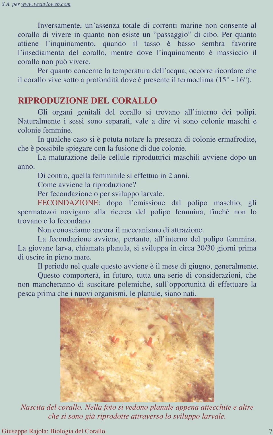 Per quanto concerne la temperatura dell acqua, occorre ricordare che il corallo vive sotto a profondità dove è presente il termoclima (15-16 ).