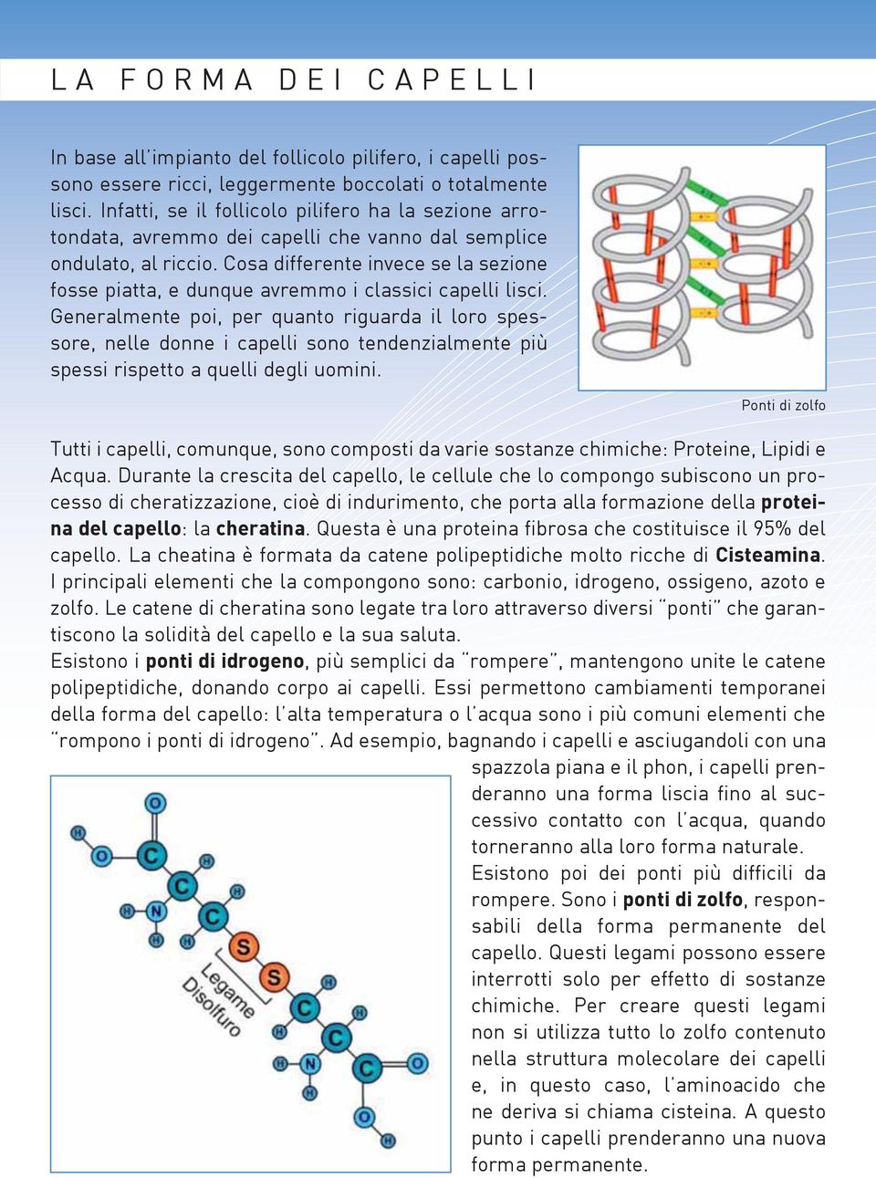 Cosa differente invece se la sezione fosse piatta, e dunque avremmo i classici capelli lisci.