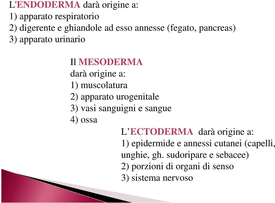 urogenitale 3) vasi sanguigni e sangue 4) ossa L ECTODERMA darà origine a: 1) epidermide e