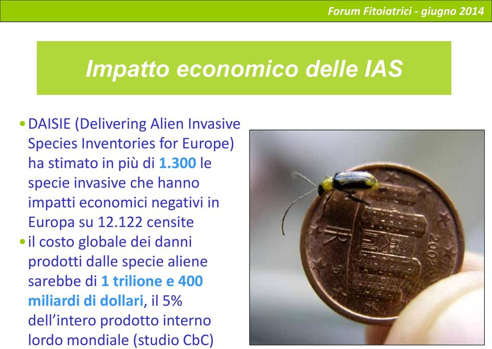 300 le specie invasive che hanno impatti economici negativi in Europa su 12.