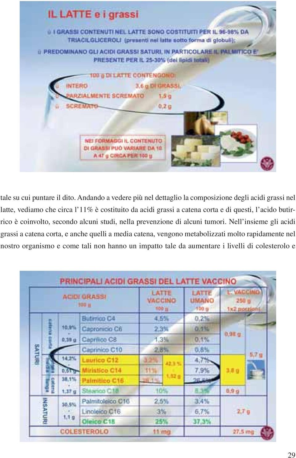 acidi grassi a catena corta e di questi, l acido butirrico è coinvolto, secondo alcuni studi, nella prevenzione di alcuni