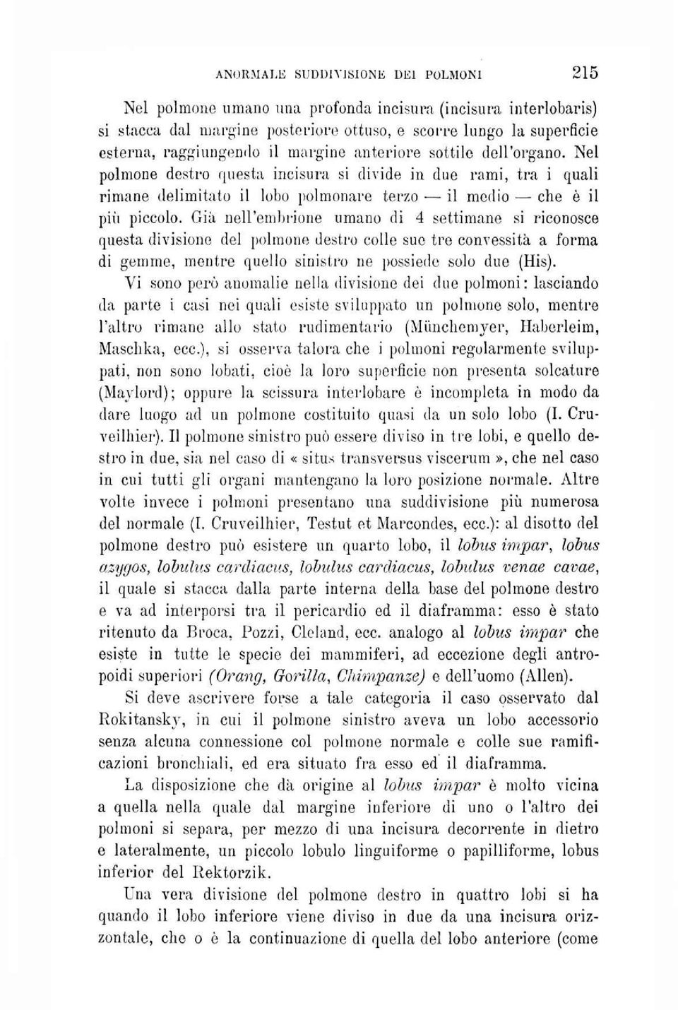 Già nell'embrione umano di 4 settimane si riconosce questa divisione del polmone destro colle sue tre convessità a forma di gemme, mentre quello sinistro ne possiede solo due (His).