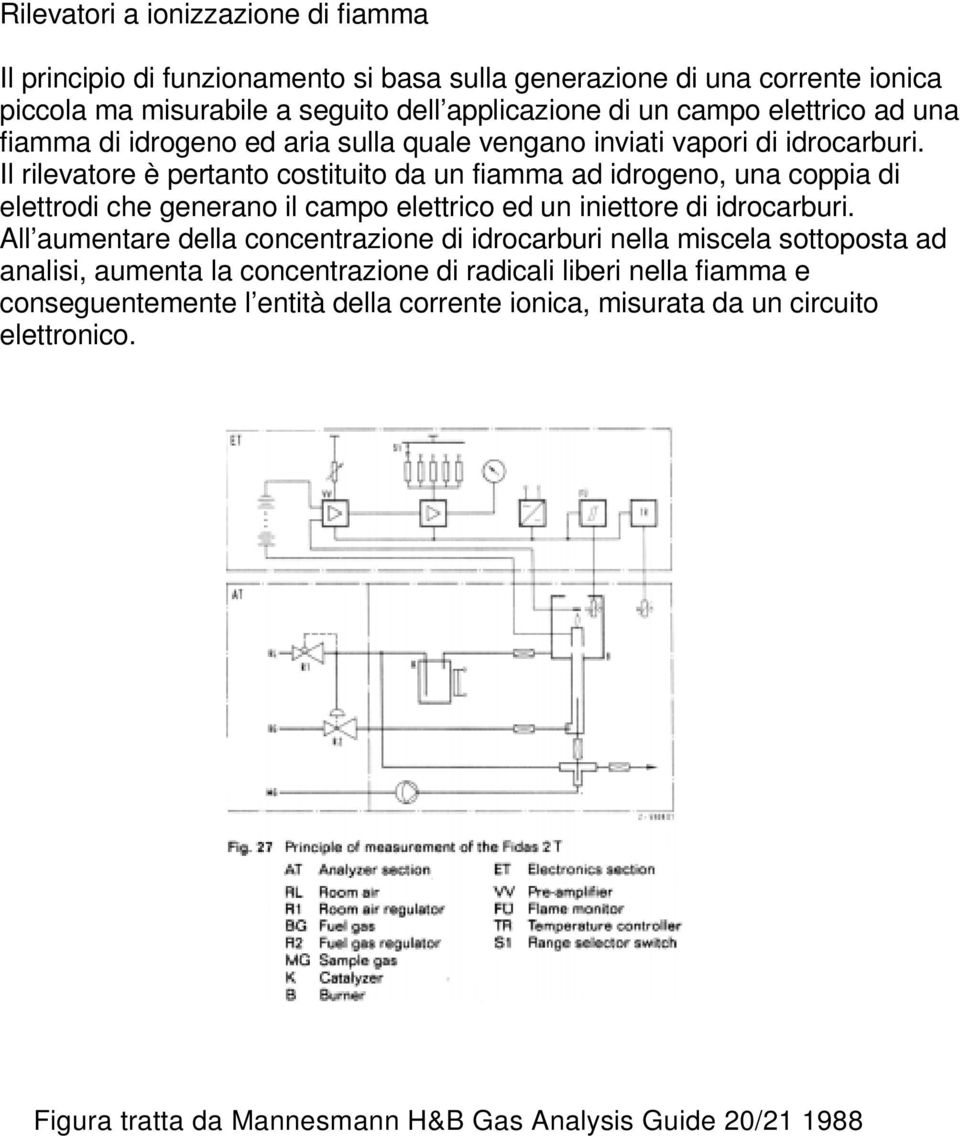 Il rilevatore è pertanto costituito da un fiamma ad idrogeno, una coppia di elettrodi che generano il campo elettrico ed un iniettore di idrocarburi.