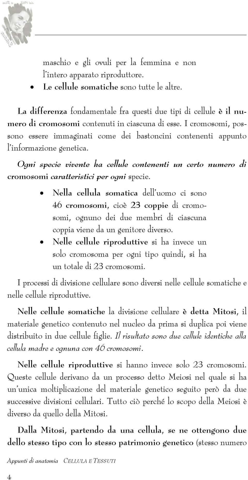 I cromosomi, possono essere immaginati come dei bastoncini contenenti appunto l informazione genetica.