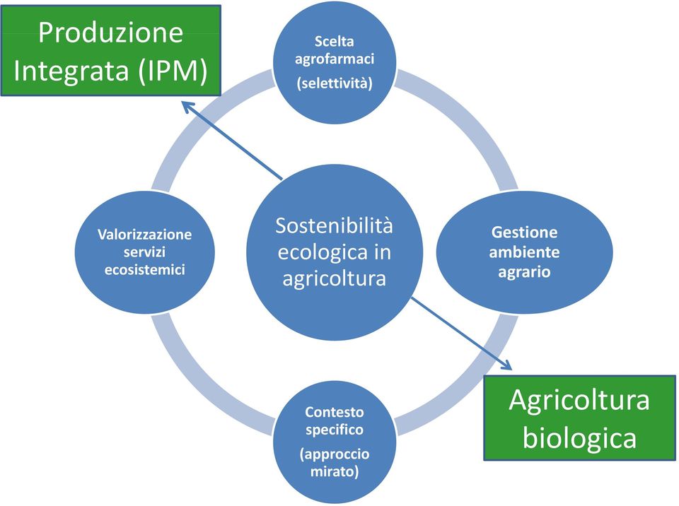 Sostenibilità ecologica in agricoltura Gestione