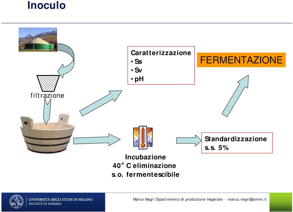 Incubazion