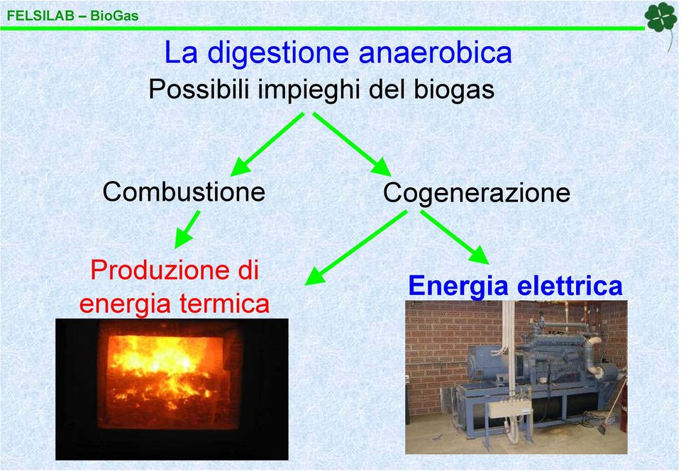 Combustione Cogenerazione