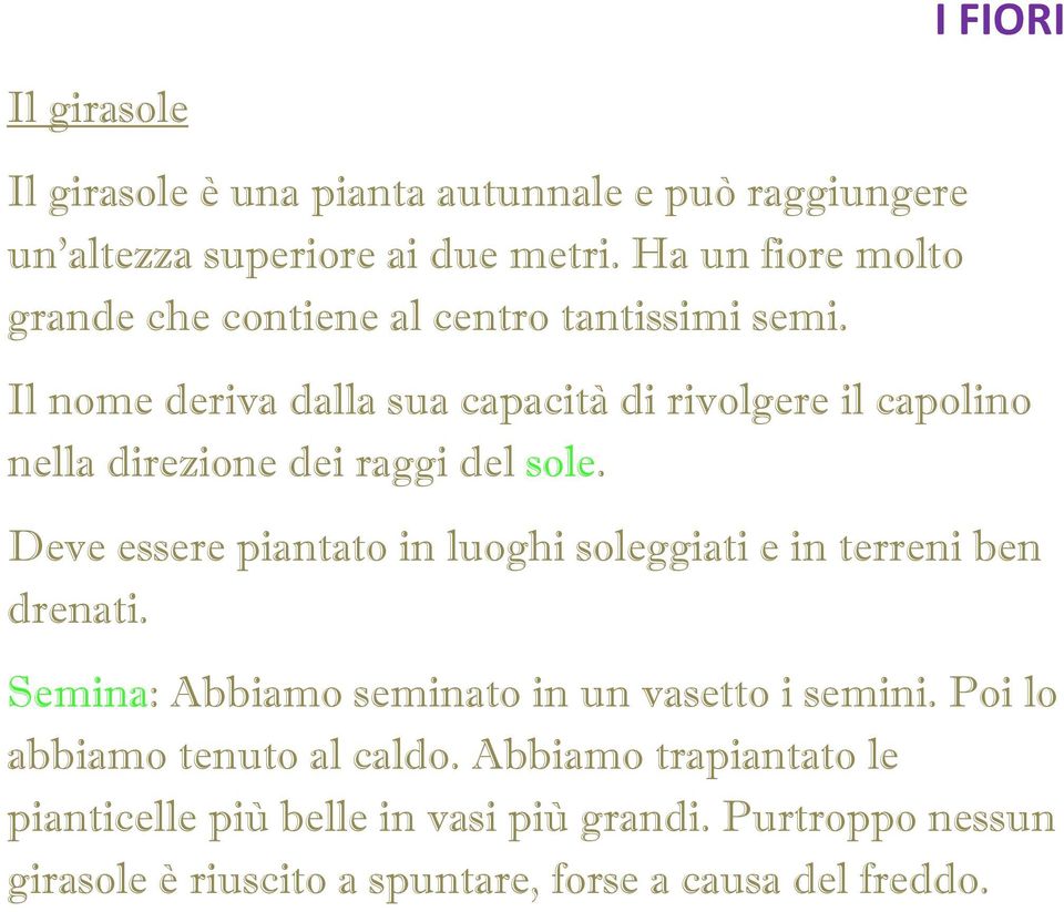 Il nome deriva dalla sua capacità di rivolgere il capolino nella direzione dei raggi del sole.