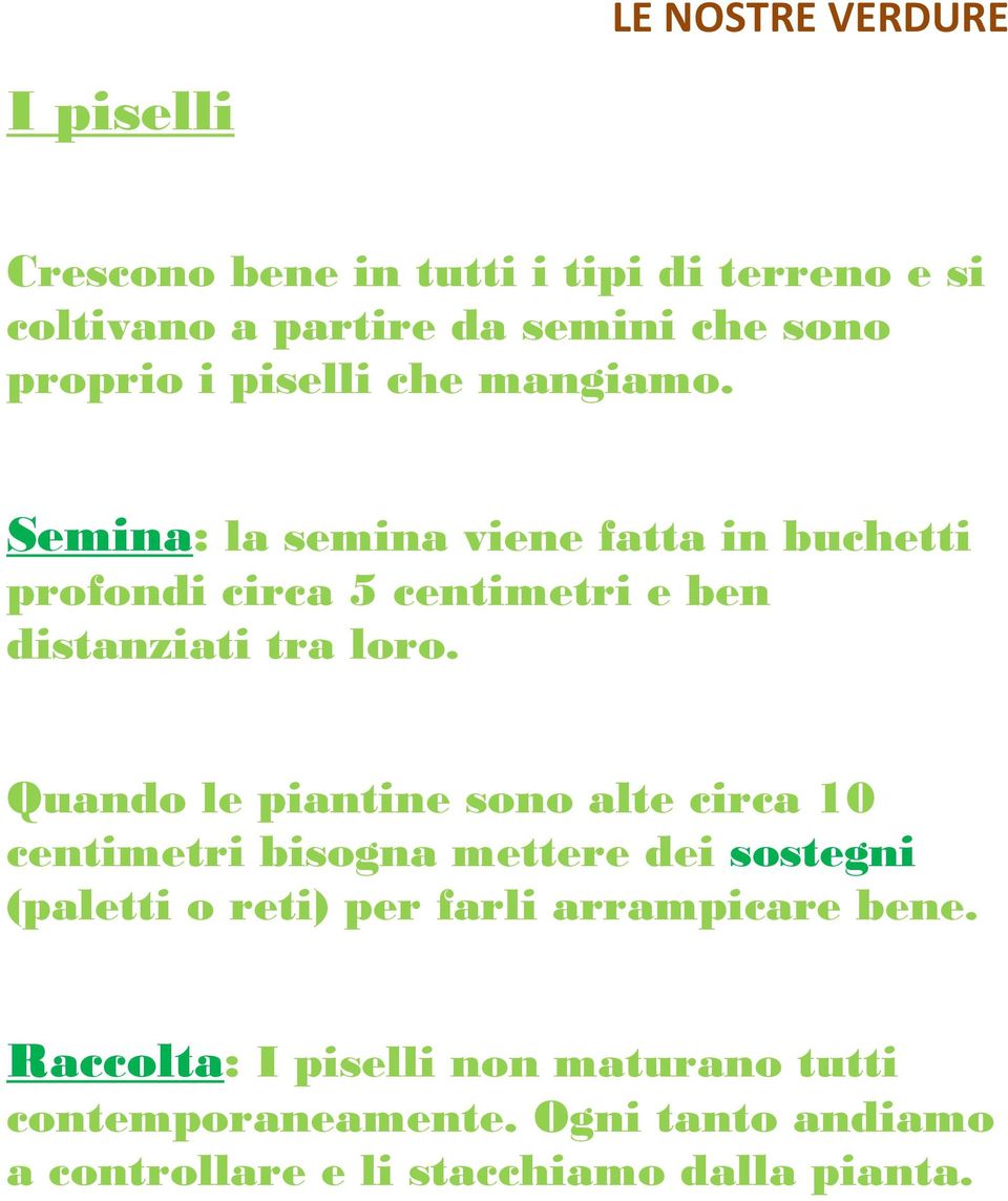 Quando le piantine sono alte circa 10 centimetri bisogna mettere dei sostegni (paletti o reti) per farli arrampicare bene.