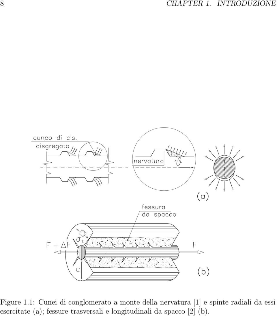 nervatura [1] e spinte radiali da essi