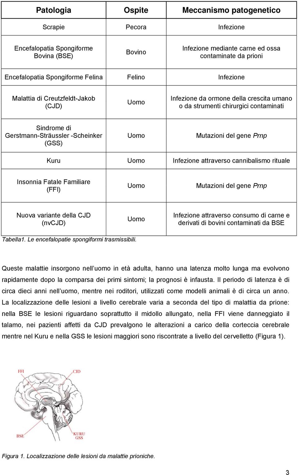 Mutazioni del gene Prnp Kuru Uomo Infezione attraverso cannibalismo rituale Insonnia Fatale Familiare (FFI) Uomo Mutazioni del gene Prnp Nuova variante della CJD (nvcjd) Uomo Infezione attraverso