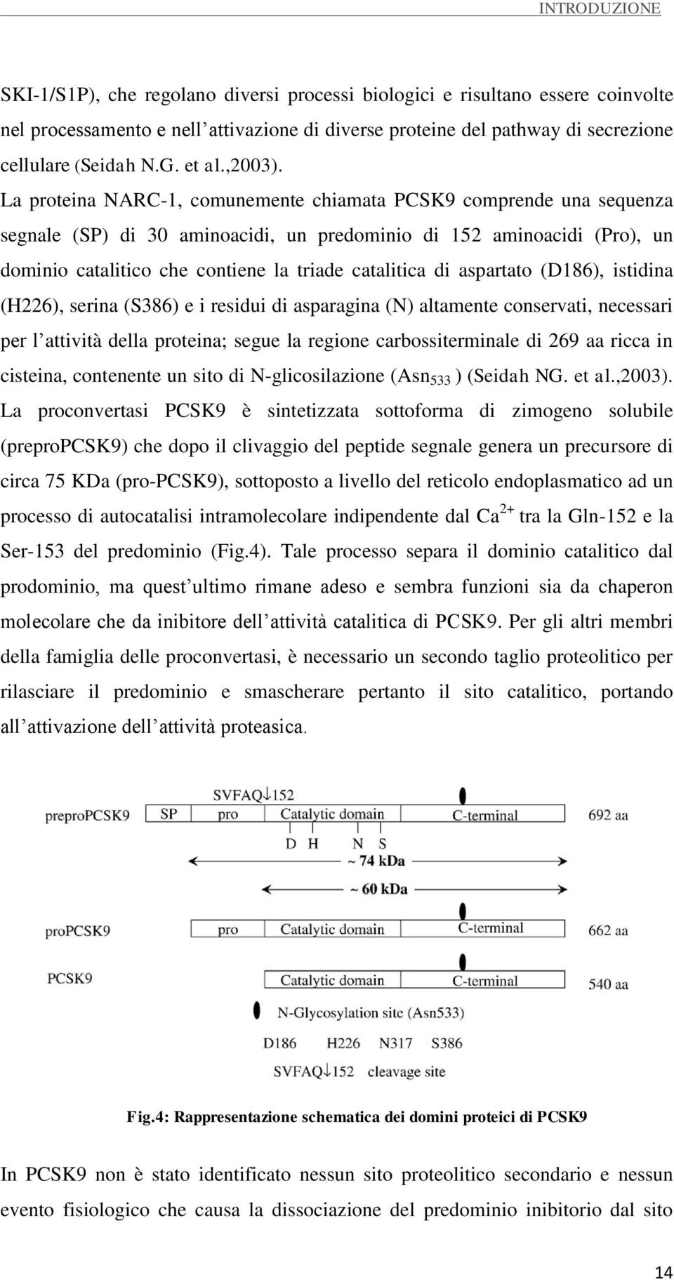 La proteina NARC-1, comunemente chiamata PCSK9 comprende una sequenza segnale (SP) di 30 aminoacidi, un predominio di 152 aminoacidi (Pro), un dominio catalitico che contiene la triade catalitica di