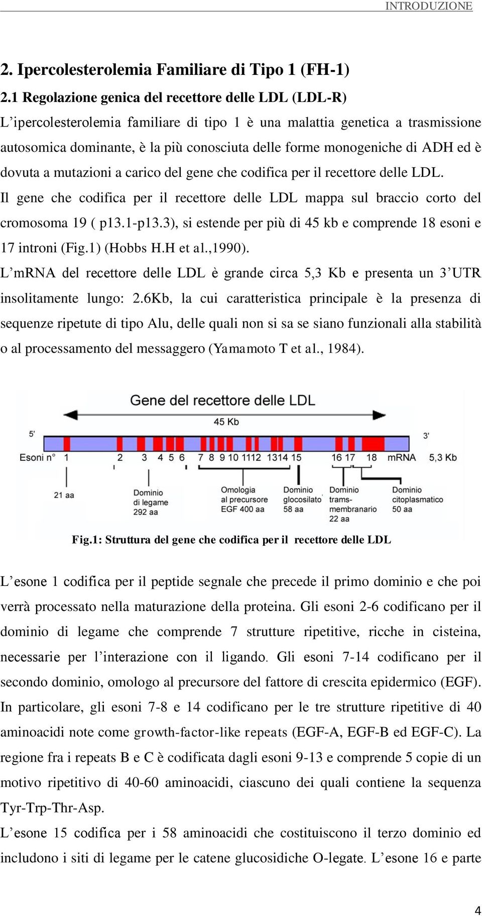 di ADH ed è dovuta a mutazioni a carico del gene che codifica per il recettore delle LDL. Il gene che codifica per il recettore delle LDL mappa sul braccio corto del cromosoma 19 ( p13.1-p13.