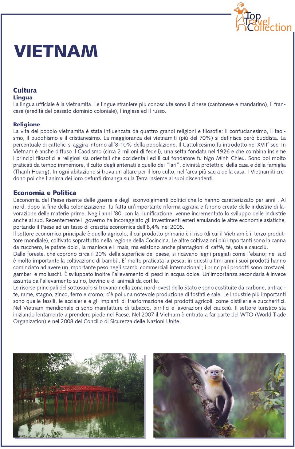 Religione La vita del popolo vietnamita è stata influenzata da quattro grandi religioni e filosofie: il confucianesimo, il taoismo, il buddhismo e il cristianesimo.