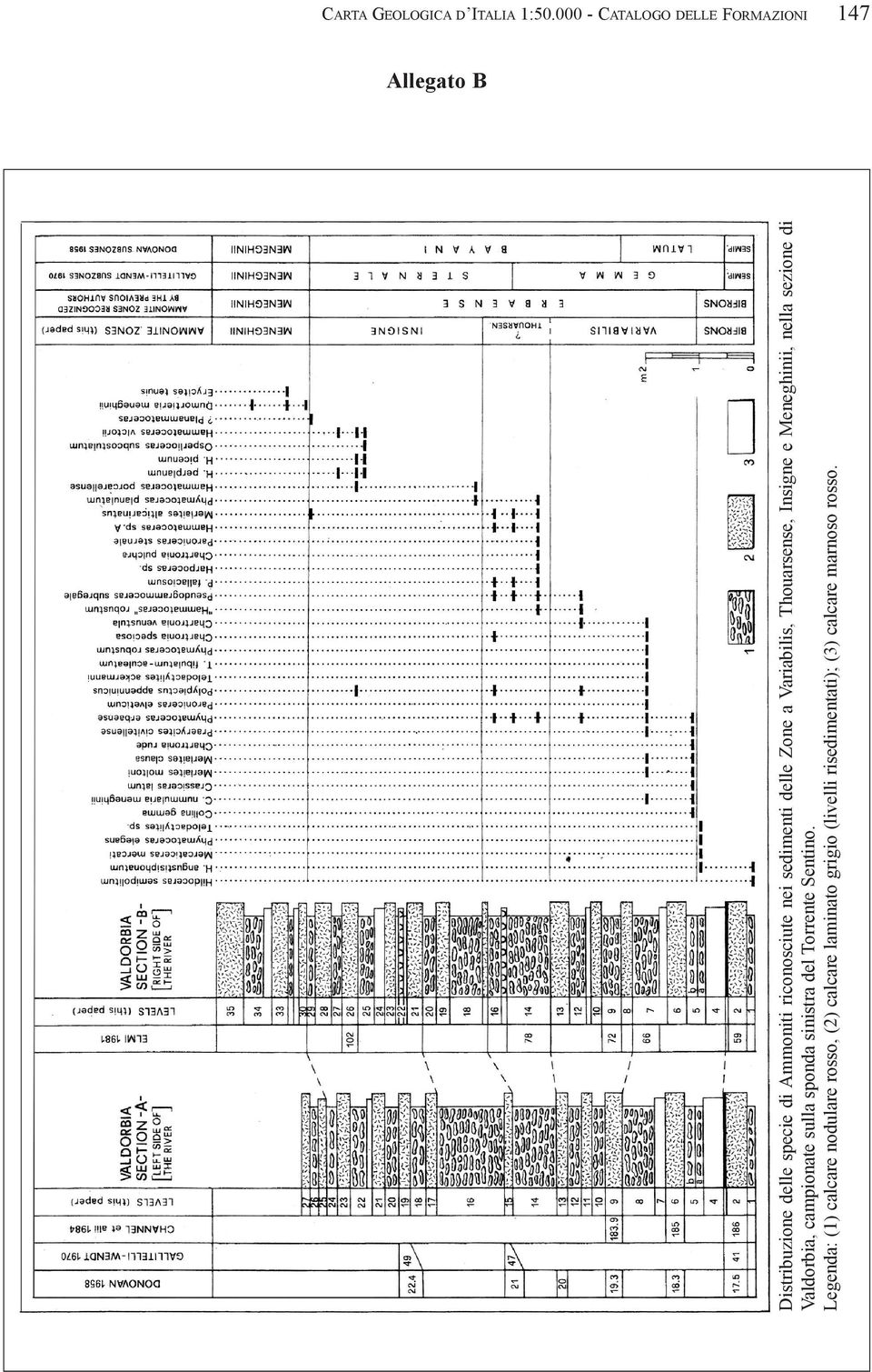 nei sedimenti delle Zone a Variabilis, Thouarsense, Insigne e Meneghinii, nella sezione di