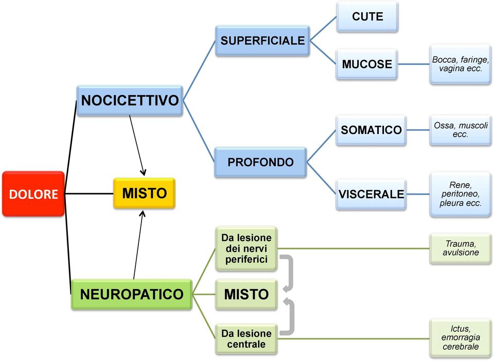 PROFONDO DOLORE+ MISTO VISCERALE Rene, peritoneo, pleura ecc.