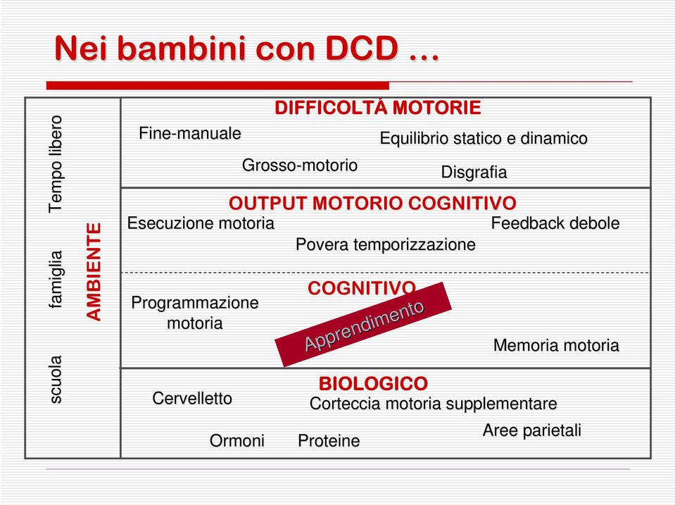 Cervelletto DIFFICOLTÁ MOTORIE Grosso-motorio Ormoni Proteine COGNITIVO Apprendimento