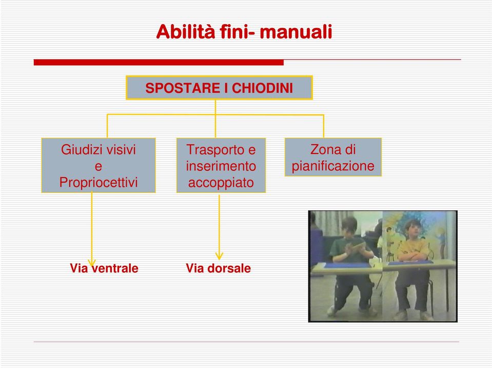 Propriocettivi Trasporto e inserimento