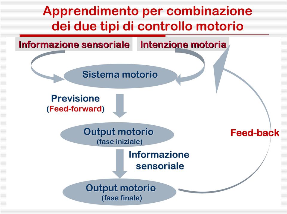 Previsione (Feed-forward) Sistema motorio Output motorio