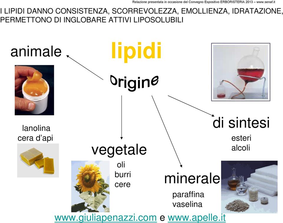 LIPOSOLUBILI animale lipidi lanolina cera d api