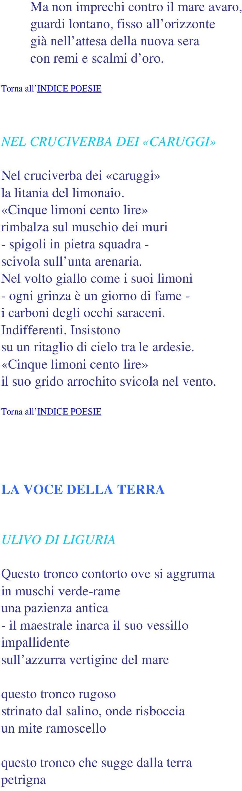 Nel volto giallo come i suoi limoni - ogni grinza è un giorno di fame - i carboni degli occhi saraceni. Indifferenti. Insistono su un ritaglio di cielo tra le ardesie.