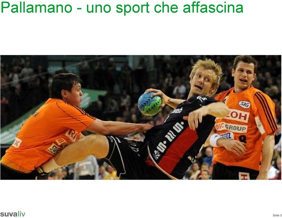 sport che