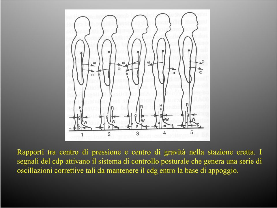 I segnali del cdp attivano il sistema di controllo